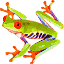 frog_poison18_1a.gif
