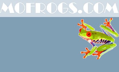 frogspic.jpg