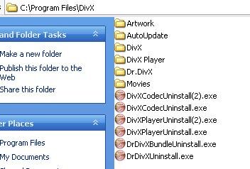 Program File Dups.JPG