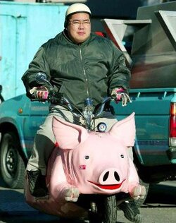Pigcycle.jpg