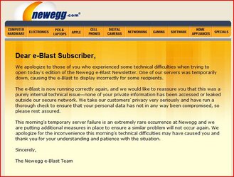 newegg.JPG