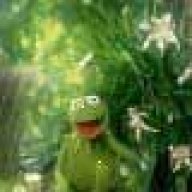 Kermit_the_Frog