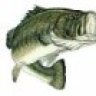 bassfisher6522