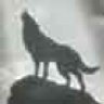 straywolf