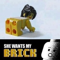 300px-She_wants_the_Brick.jpg