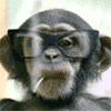 monkey-with-glasses-smoking-smiley-emoticon.gif