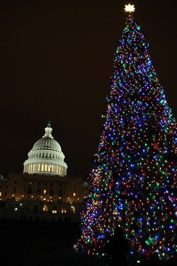 us-capitol-tree.jpg