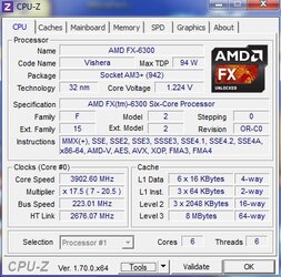 cpu-3902.jpg