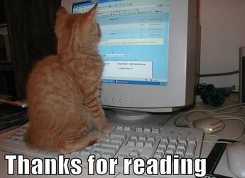 thanks_for_reading_cat_2.jpg