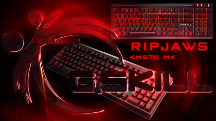 GSKILL RIPJAWS KM570 MX.jpg