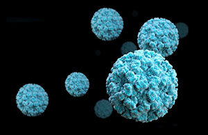 norovirus-collection.jpg