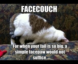 FACECOUCH-For-when-your-fail-is-so-big-a-simple-facepaw-would-not-suffice.jpg