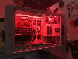 Optimized-IMG_3705.JPG