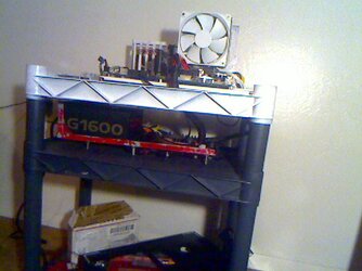 Picture 78.jpg