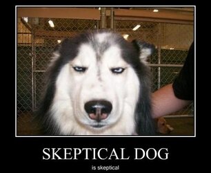 skeptical-dog.jpg
