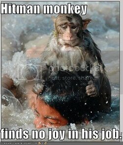 funny-pictures-hitman-monkey-drowns.jpg