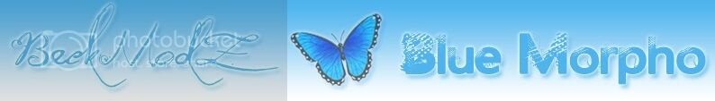 banner%20blue%20morpho_zps7y9qbqq4.jpg banner%20blue%20morpho_zps7y9qbqq4.jpg