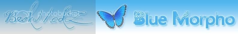 banner%20blue%20morpho_zps7y9qbqq4.jpg