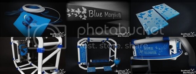 blue%20%20morpho%20cover2_zpslok7jsnu.jpg