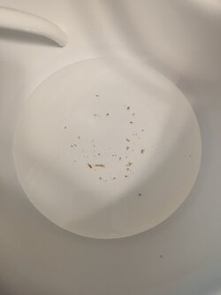 PXL_20230910_223546585.jpg PXL_20230910_223546585.jpg