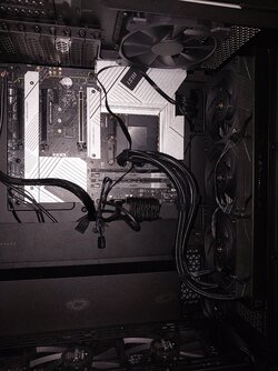 20240802_141518.jpg