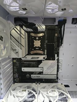 Case 1.jpg