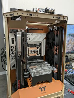 PXL_20250303_171700540.jpg