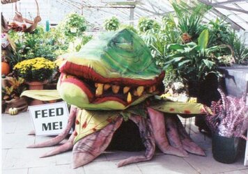 feed me.jpg