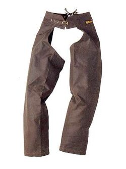 chaps.jpg