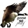 Avatar of goose90proof