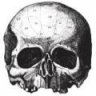 Avatar of sdmf74