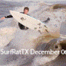 SurfRatTX